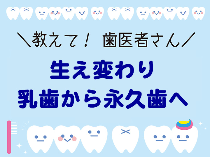 生え変わり 乳歯から永久歯へ